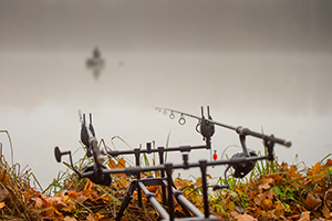 Rod Pod beim Karpfenangeln