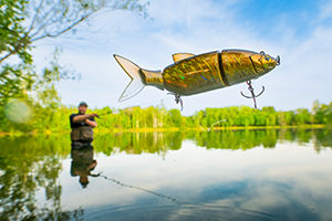 Angler beim Raubfischangeln mit Wobbler